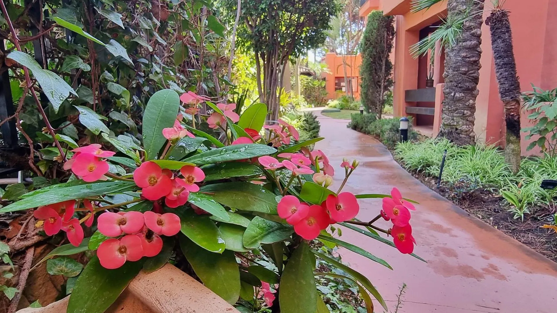 Jardines De Don Carlos Apartment Marbella